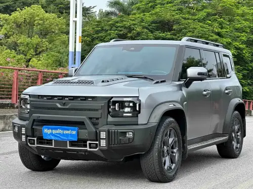 Jetour Traveler, 2024