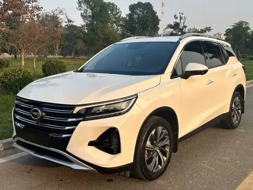 GAC GS4, 2020