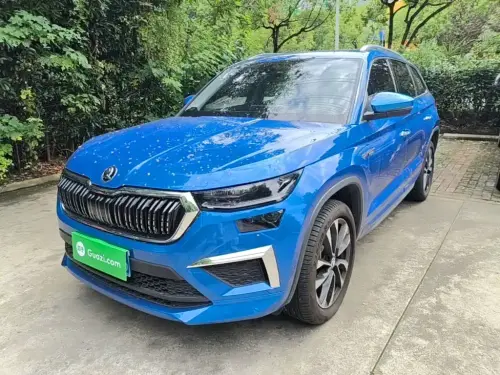 Skoda Kodiaq, 2024