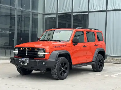 Tank 300, 2021