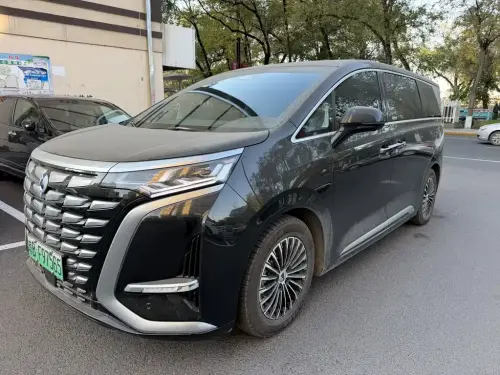 Denza D9, 2024