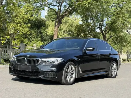 BMW 5-Series, 2020