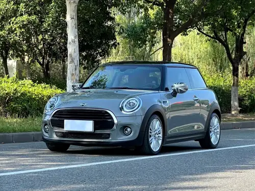 Mini MINI, 2020