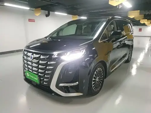 Denza D9, 2024