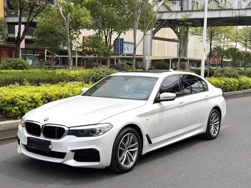BMW 5-Series, 2020