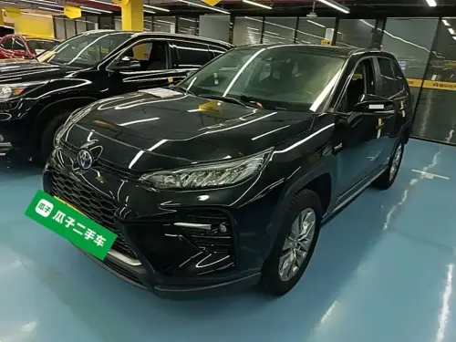 Toyota Wildlander, 2024