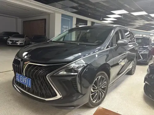 Dongfeng Youth, 2023
