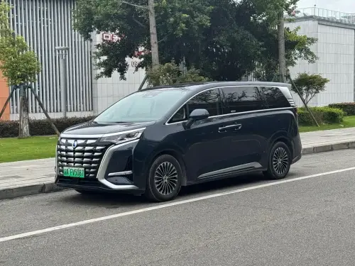 Denza D9, 2024