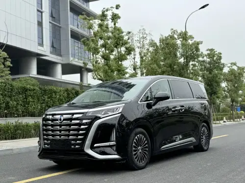 Denza D9, 2023