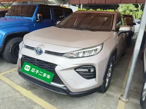 Toyota Wildlander, 2020