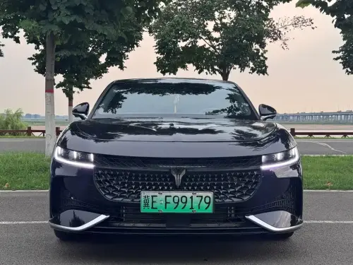 Voyah Zhuiguang, 2024