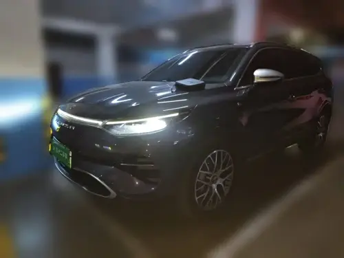 Denza X, 2022