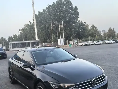 Volkswagen Magotan, 2024