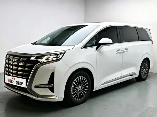 Denza D9, 2024