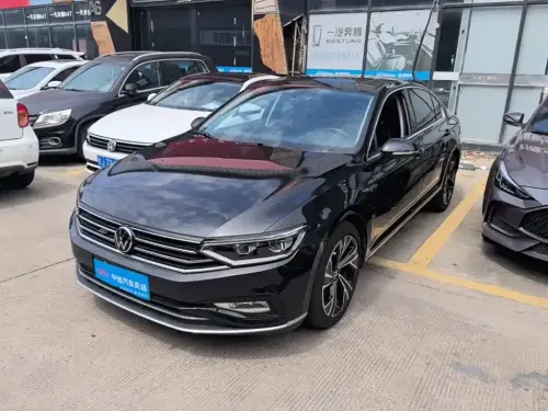 Volkswagen Magotan, 2021