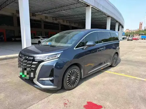 Denza D9, 2023