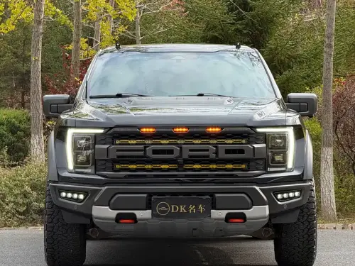 Ford F-150 Raptor, 2024