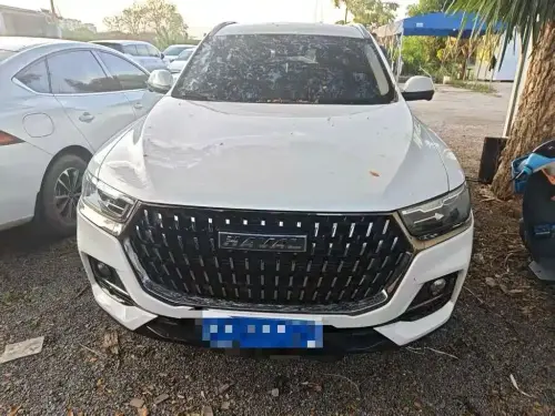 Haval H6, 2023