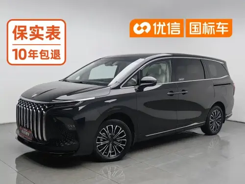 Dongfeng Xinghai V9, 2024