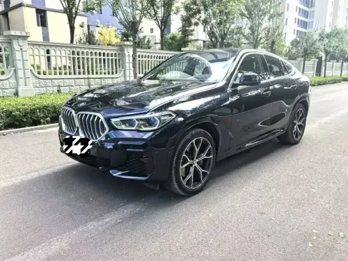 BMW X6, 2022
