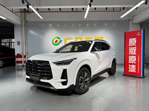 GAC GS4, 2024