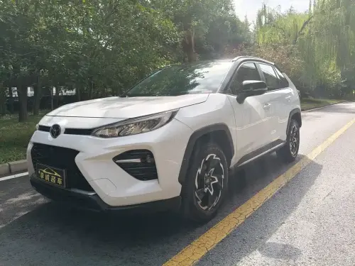 Toyota Wildlander, 2020
