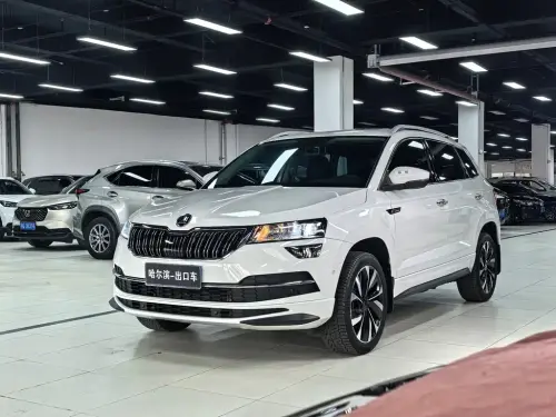 Skoda Karoq, 2022
