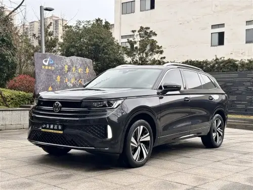 Volkswagen Tavendor, 2024