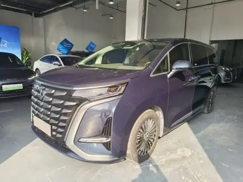 Denza D9, 2023