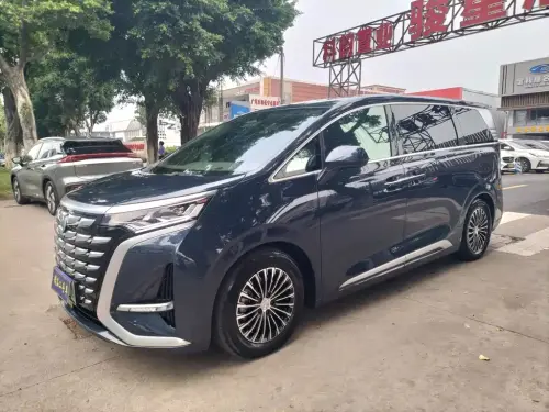 Denza D9, 2024