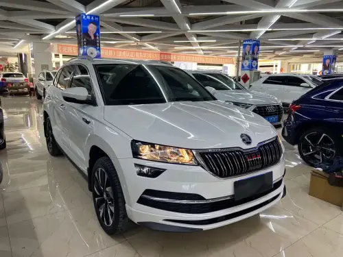Skoda Karoq, 2022