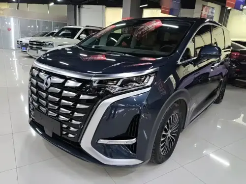 Denza D9, 2023