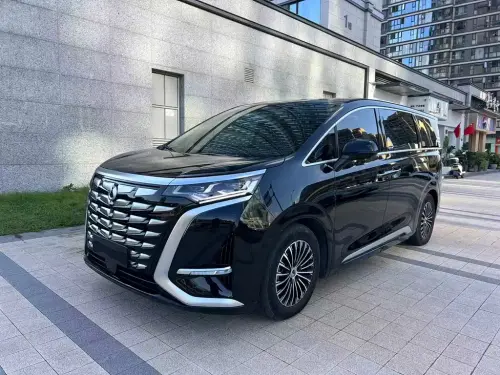 Denza D9, 2025