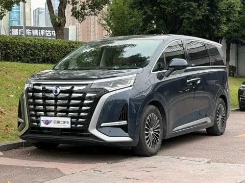 Denza D9, 2024