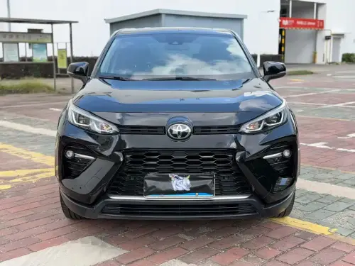 Toyota Wildlander, 2020
