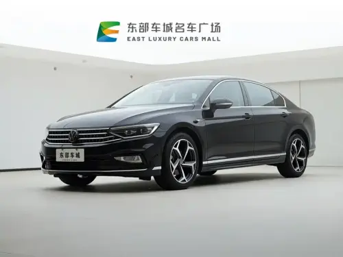 Volkswagen Magotan, 2024