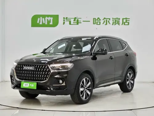 Haval H6, 2024