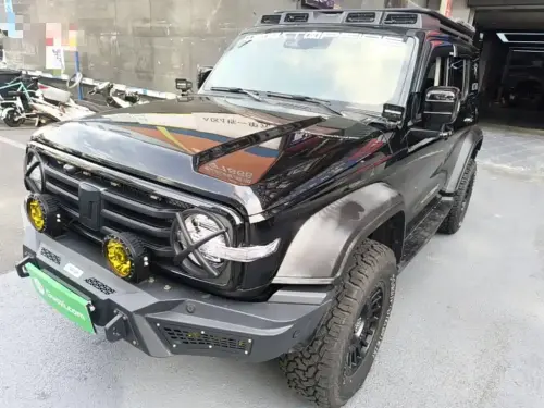 Tank 300, 2021