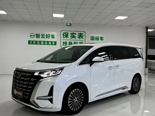 Denza D9, 2024