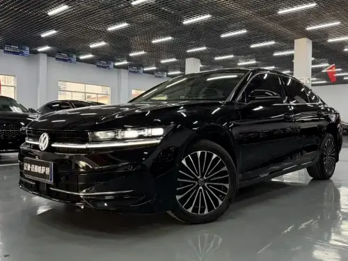 Volkswagen Magotan, 2024