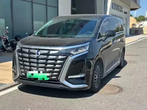 Denza D9, 2024