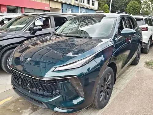 Dongfeng T5 EVO, 2021