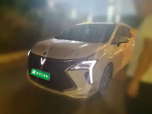 Dongfeng Youth, 2023