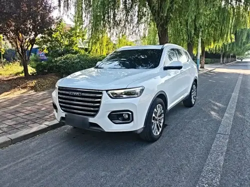Haval H6, 2020