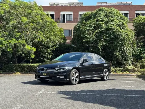 Volkswagen Magotan, 2024