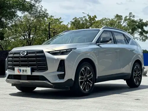 GAC GS4, 2024