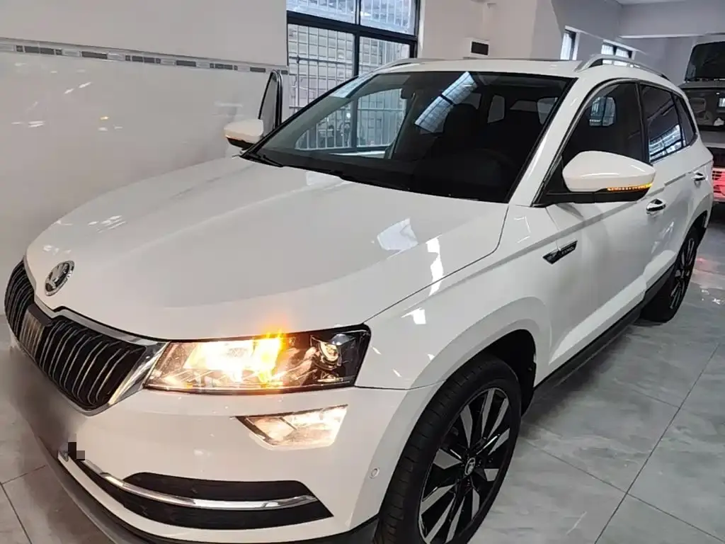 Skoda Karoq, 2022