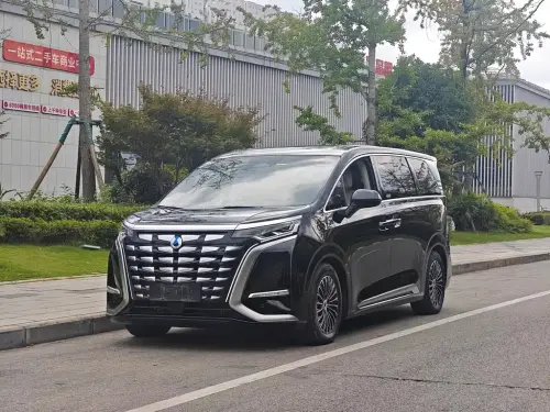Denza D9, 2024