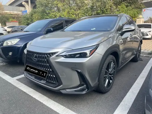 Lexus NX, 2022