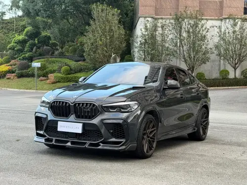 BMW X6, 2021